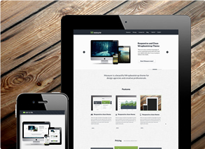 Responsive Clean Themes